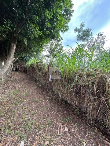 Foto Terreno