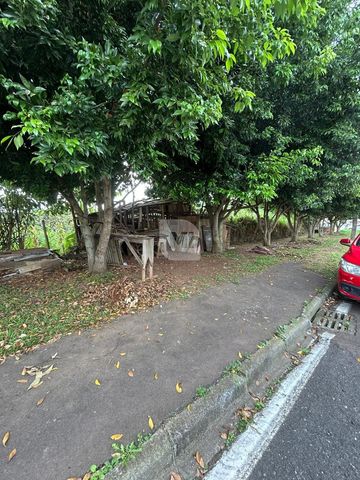 Foto Terreno