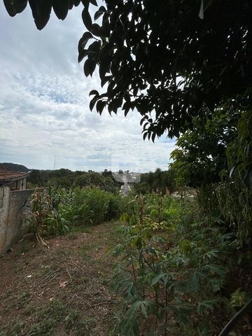 Foto Terreno