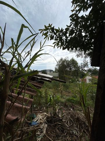 Foto Terreno