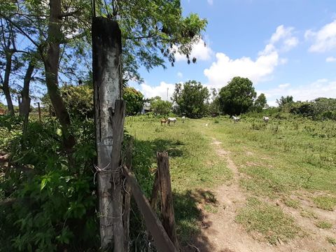 Foto Terreno