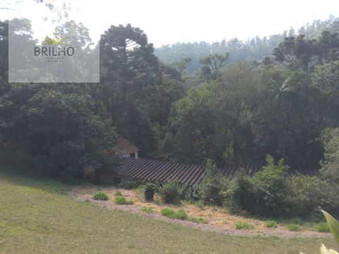 Foto Fazenda / Sítio / Chácara