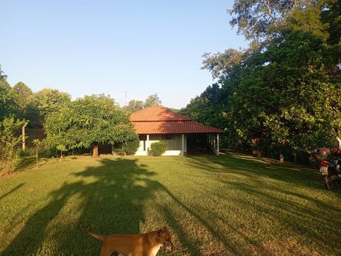 Foto Fazenda / Sítio / Chácara