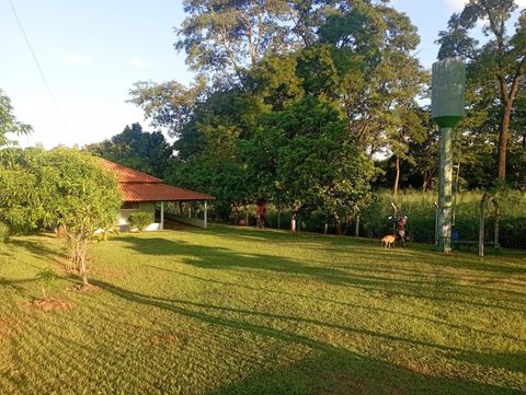 Foto Fazenda / Sítio / Chácara