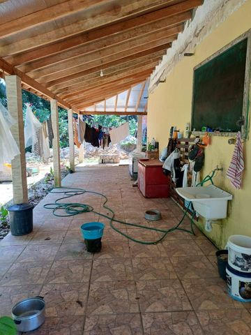 Foto Fazenda / Sítio / Chácara