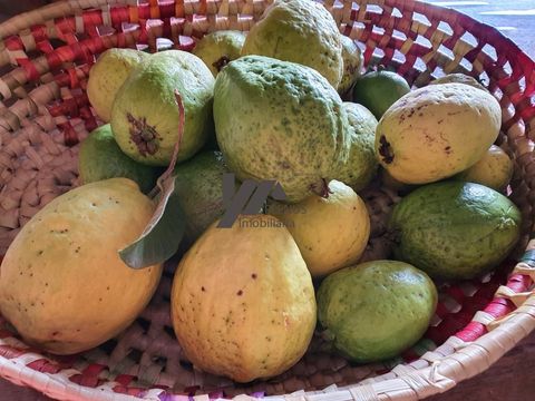 Foto Fazenda / Sítio / Chácara