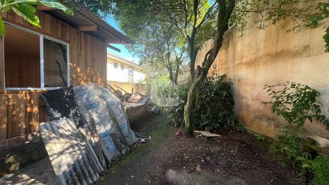 Foto Terreno