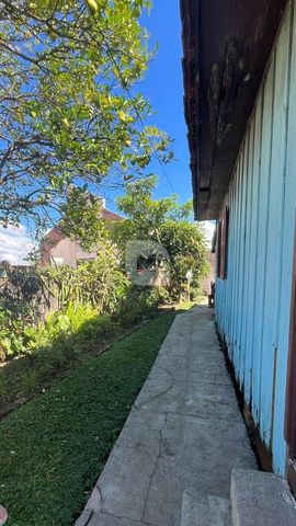 Foto Terreno