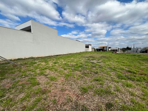 Foto Terreno