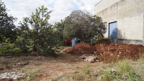 Foto Terreno