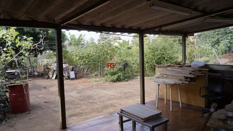 Foto Terreno