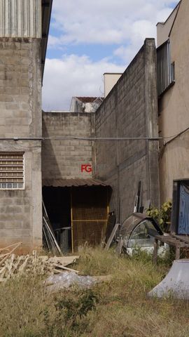 Foto Terreno