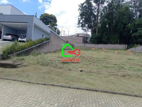 Foto Terreno