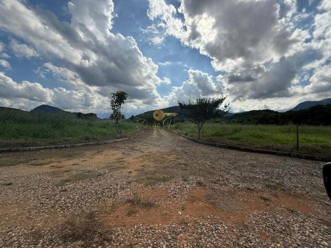 Foto Terreno