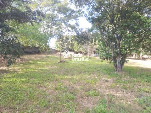 Foto Terreno