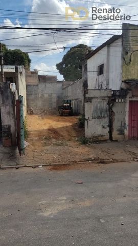 Foto Terreno