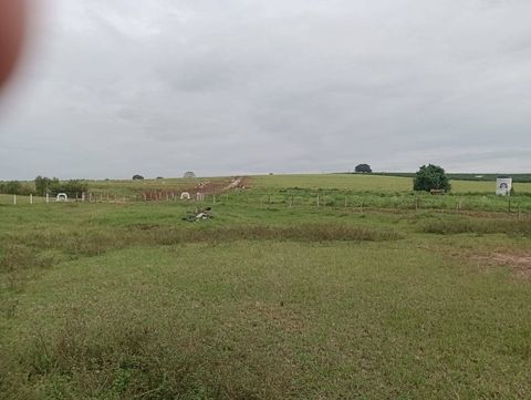 Foto Fazenda / Sítio / Chácara