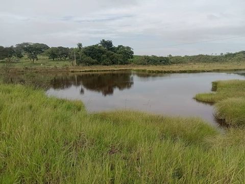 Foto Fazenda / Sítio / Chácara