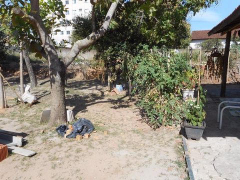 Foto Terreno