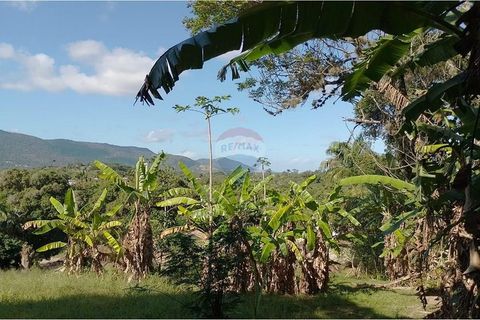 Foto Terreno