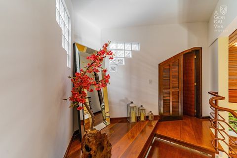 Foto Fazenda / Sítio / Chácara