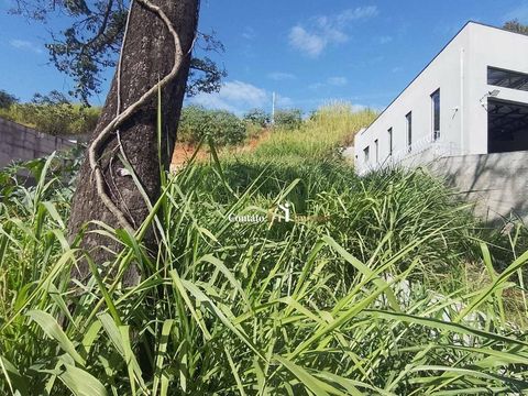 Foto Terreno