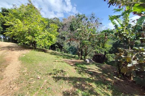 Foto Fazenda / Sítio / Chácara