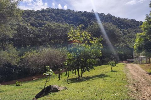 Foto Fazenda / Sítio / Chácara