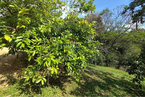 Foto Fazenda / Sítio / Chácara