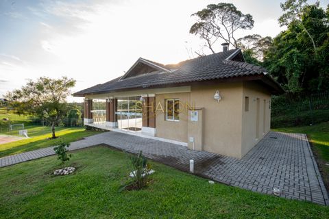Foto Terreno