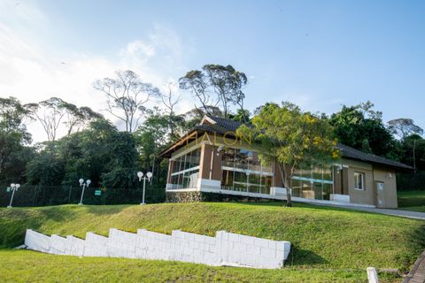 Foto Terreno