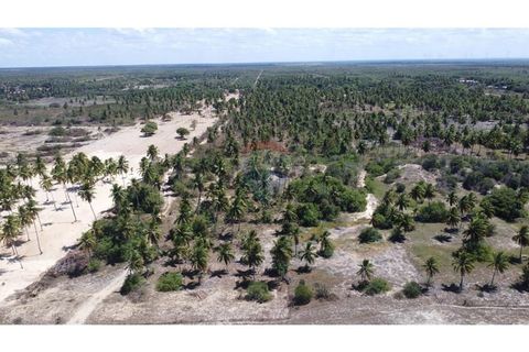 Foto Terreno