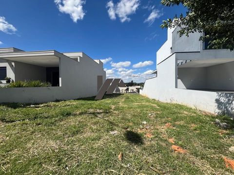 Foto Terreno