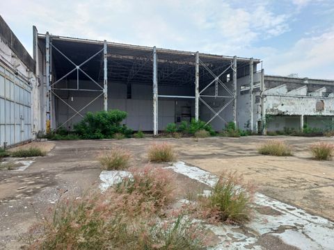 Foto Galpão / Depósito / Armazém / Pavilhão