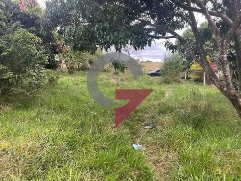 Foto Terreno