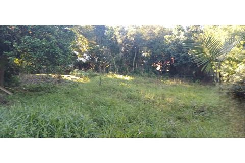 Foto Fazenda / Sítio / Chácara