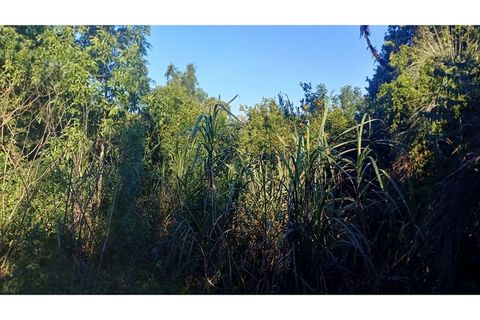 Foto Fazenda / Sítio / Chácara