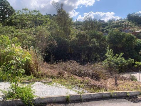 Foto Terreno