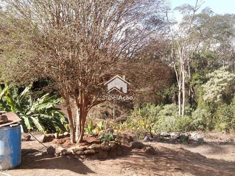 Foto Terreno