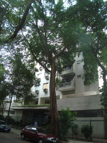 Foto 4 do Rio Carioca, em Laranjeiras / Rio de Janeiro