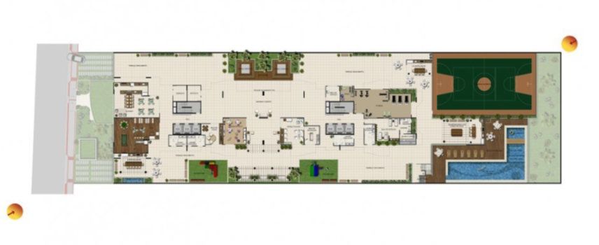 Planta 8