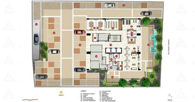 Planta 5