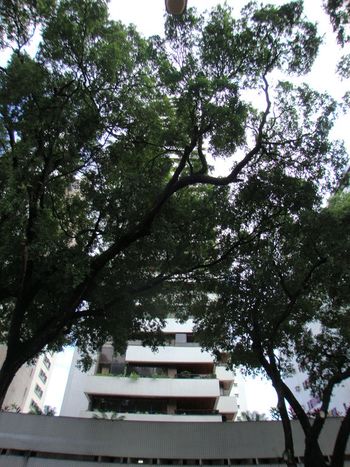 Foto 1 do Benedictine, em Aflitos / Recife