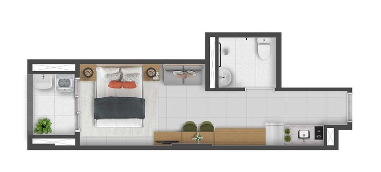 Planta 11