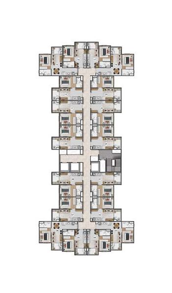 Planta 22
