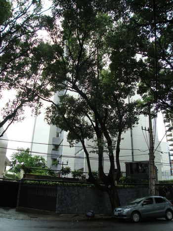 Foto 1 do Condomínio Edifício Rua Barão de Itamaracá, 32768, em Espinheiro / Recife