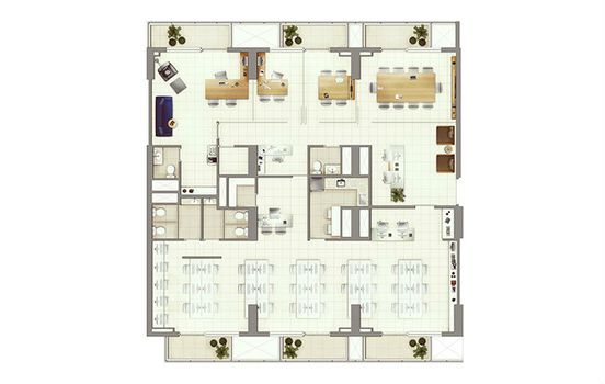 Planta 5