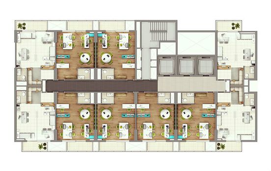 Planta 6