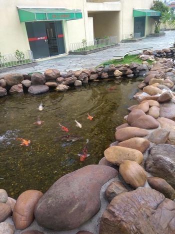 Foto 56 do Jardim Villa Real, em Freguesia do Ó / São Paulo oferecendo Aquecimento Central