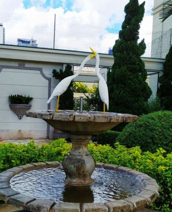 Foto 13 do Granja Julieta, em Santo Amaro / São Paulo oferecendo Aquecimento Central
